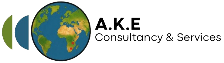 Consultancy & Services